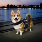 ZGJZJBKDJJBZM7SG9V0 gallery 6