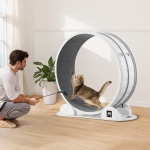 ZNMPBJABSBS45TGJAY3 gallery 6