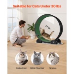 ZNMPBJHSABS4XH5LBY3 gallery 2