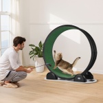 ZNMPBJHSABS4XH5LBY3 gallery 6