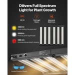 ZPTZ10010020TFH2Z001V2 gallery 2 1