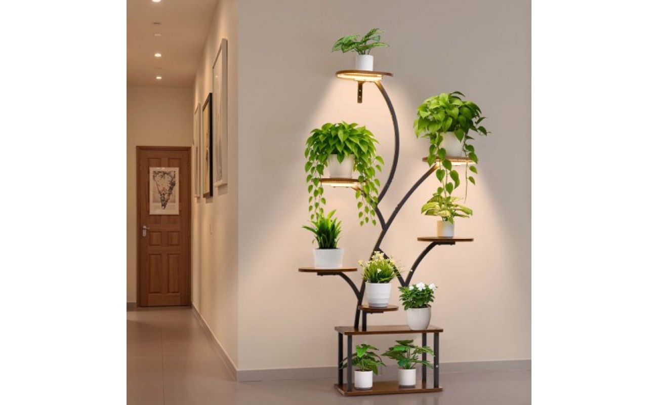 ZSZWJDBXZHYHFXBQT001V2