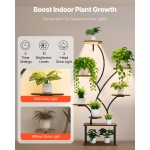 ZSZWJDBXZHYHFXBQT001V2 gallery 1