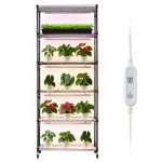 ZWPYJWFJGN2940Q7V001V2 2