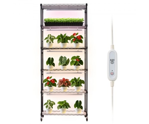 ZWPYJWFJGN2940Q7V001V2 2