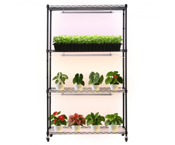 ZWPYJWFJGN35G5QPE001V2 2