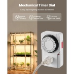 ZWPYJWSGN354NJJQQ001V2 gallery 2 2